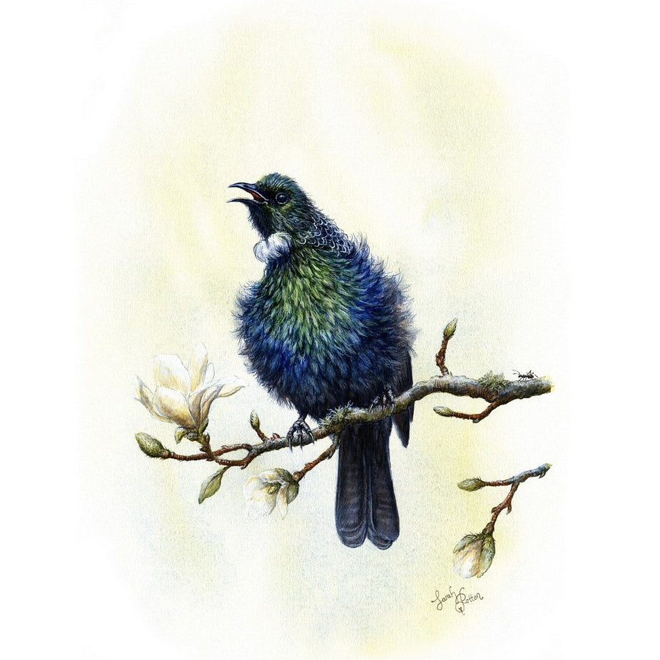 Tui Painting - NZ Bird Original Art for Sale – Mousewhisker Studio